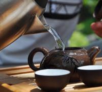 Описание чая сенча и его лечебных свойств